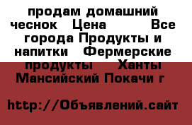 продам домашний чеснок › Цена ­ 100 - Все города Продукты и напитки » Фермерские продукты   . Ханты-Мансийский,Покачи г.